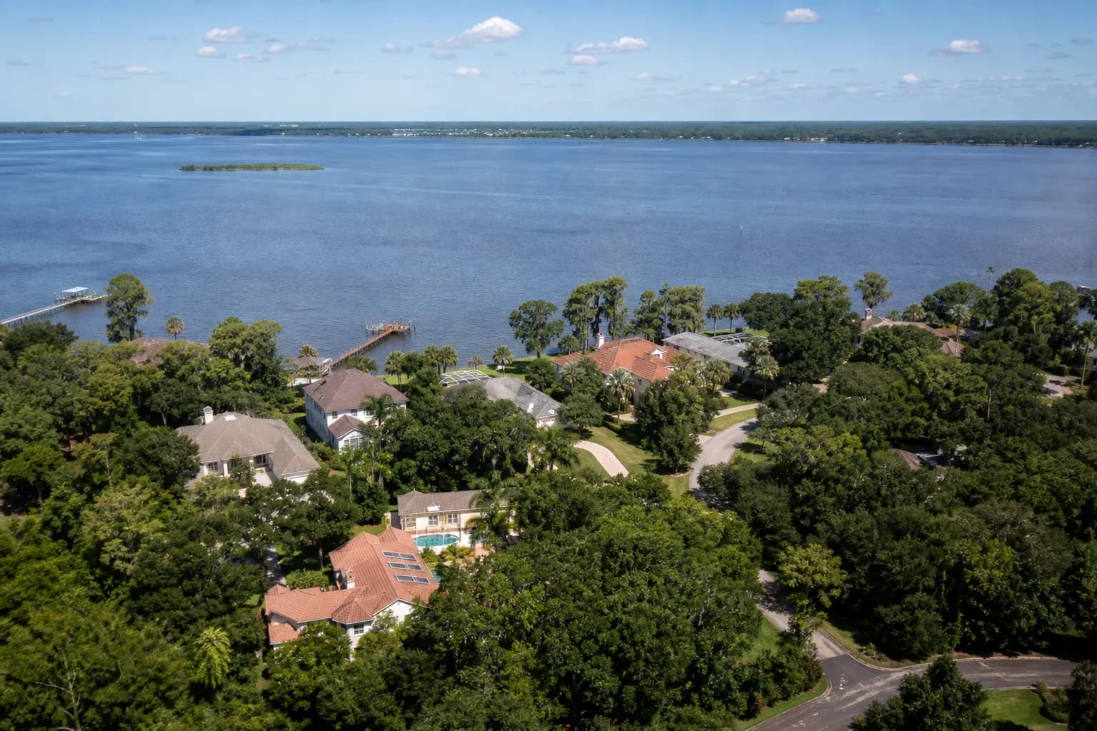 Tree Care in Mandarin: What Homeowners Along the St. Johns Should Know