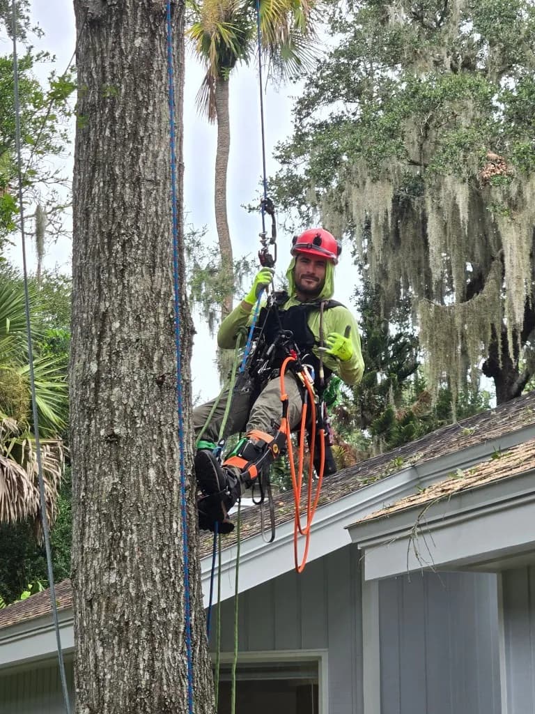 Mike Hernandez, owner of Arbros Tree Service